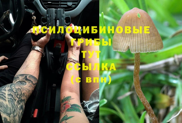 мдпв Покров