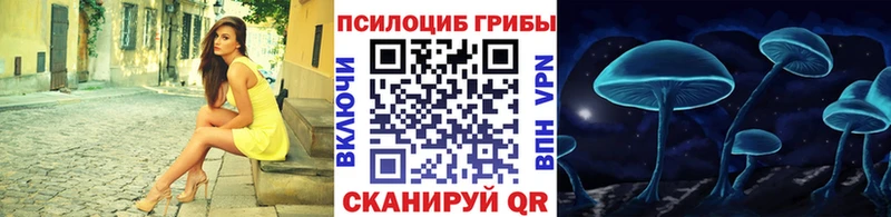 купить наркоту  Абинск  это какой сайт  Псилоцибиновые грибы мухоморы 