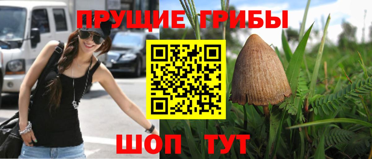 Псилоцибиновые грибы прущие грибы  Вход с VPN  Абинск 