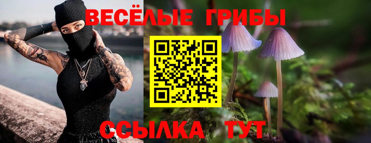 Абинск  Псилоцибиновые грибы Psilocybe  Вход с VPN 