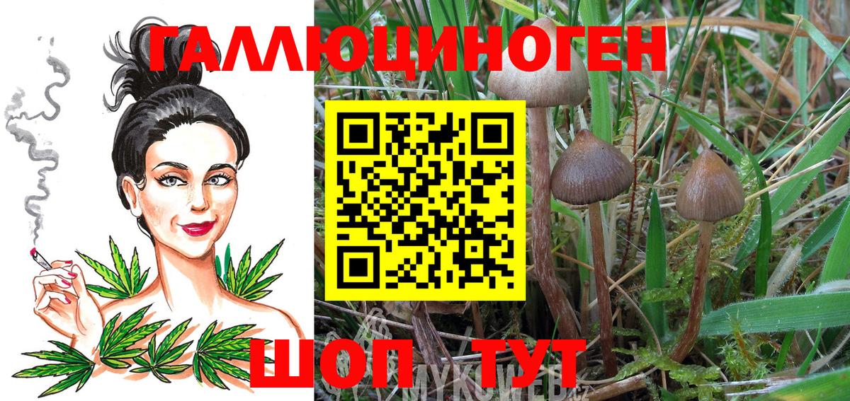 Псилоцибиновые грибы Cubensis  наркошоп  Абинск 